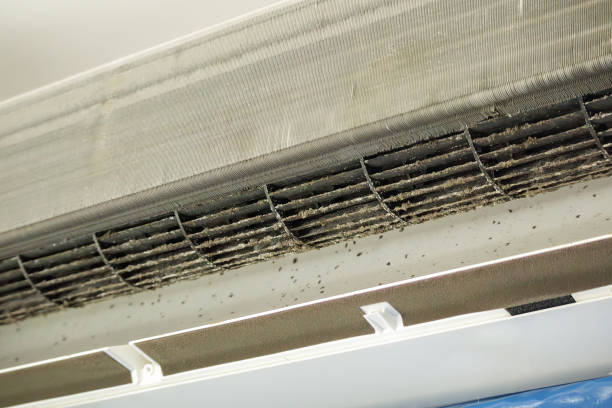 Best Air Duct Cleaning Near Me  in Kenworth, IL